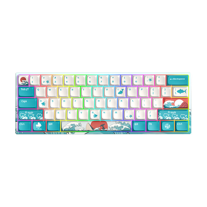 XVX M61 Coral Sea Themed 61 Keys Wired/Wireless Mechanical Keyboard