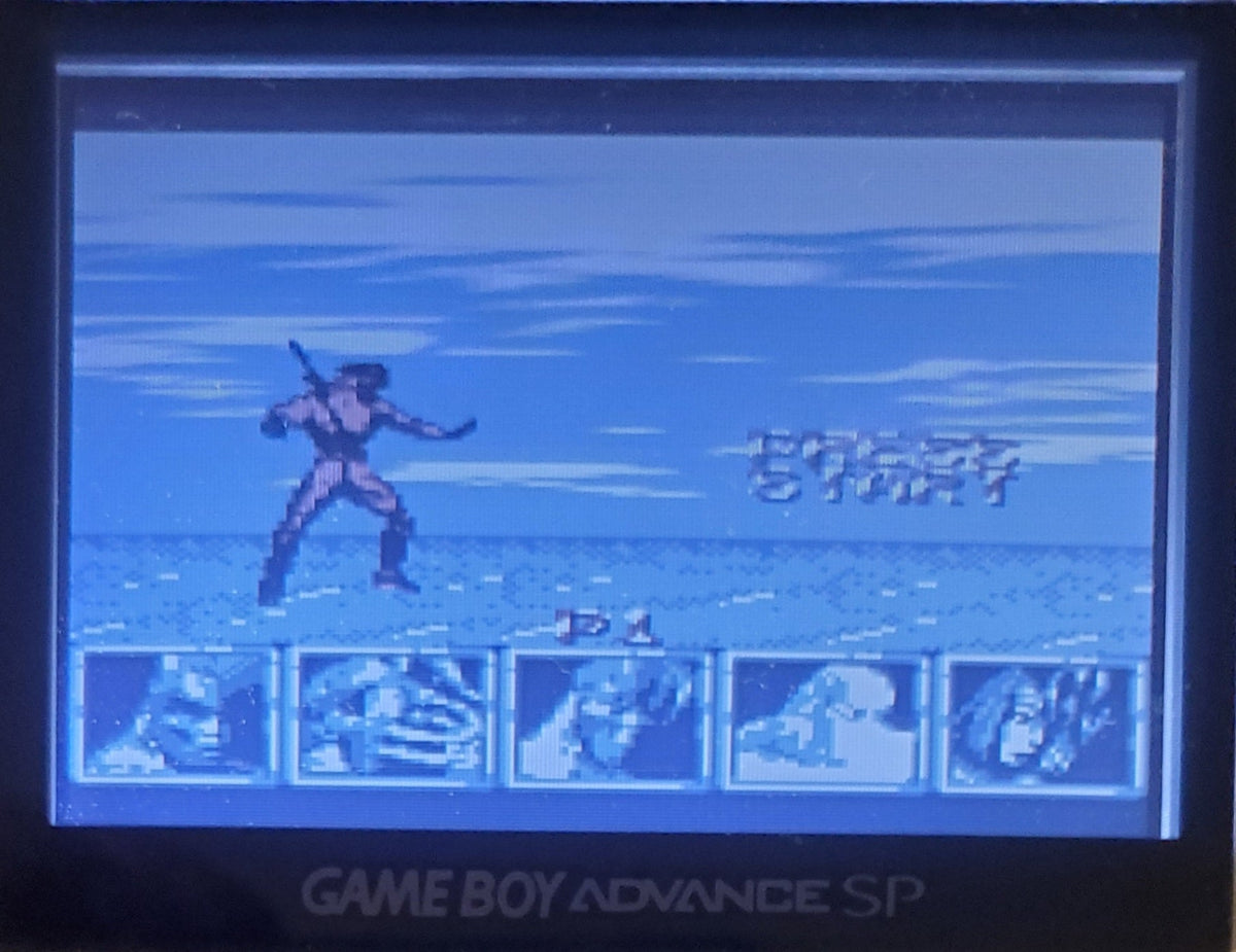 Killer Instinct Gameboy GB Video Game Catridge 1995