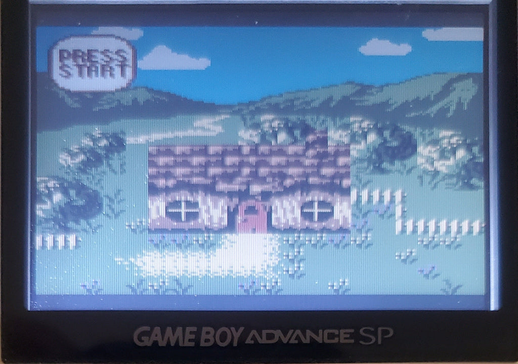 Conker's Pocket Tales Gameboy Color GBC Video Game Catridge 1999