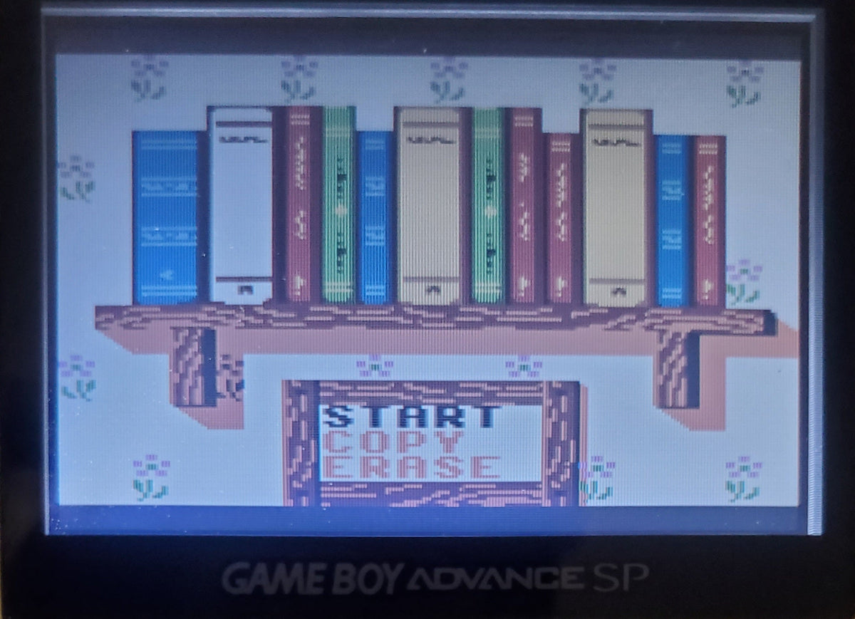Conker's Pocket Tales Gameboy Color GBC Video Game Catridge 1999
