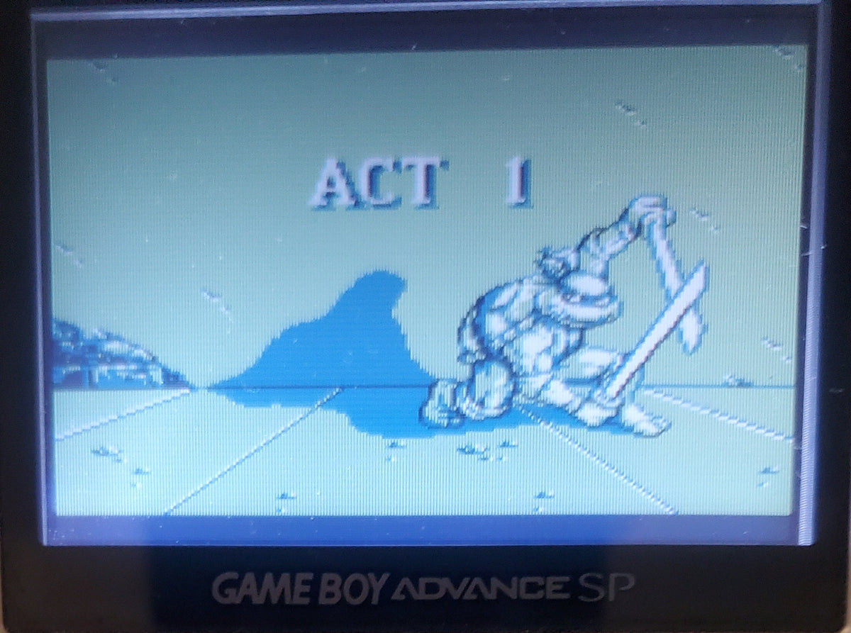 TMNT 2 Back From the Sewers GB Video Game Catridge Gameboy 1991
