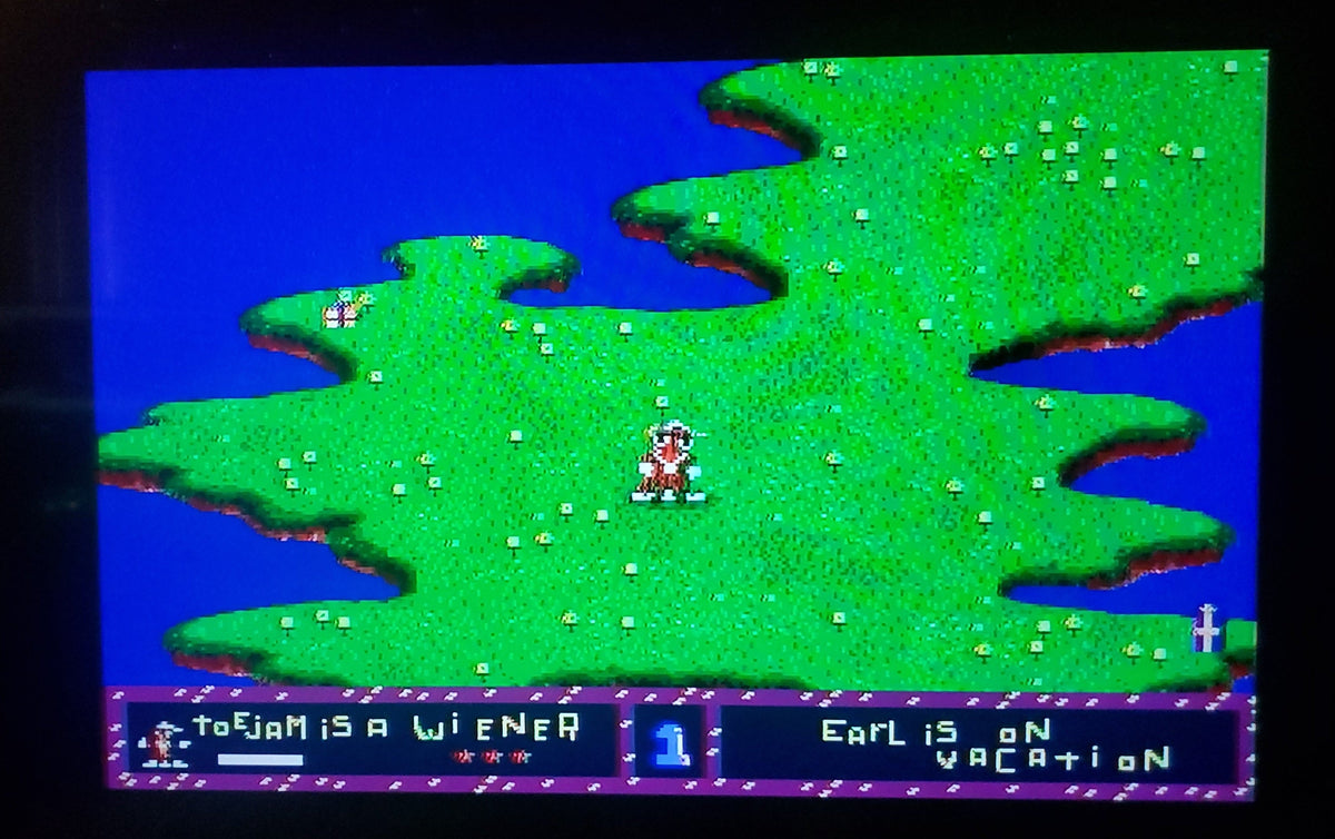 Toejam and Earl — Sega Genesis (Reproduction)