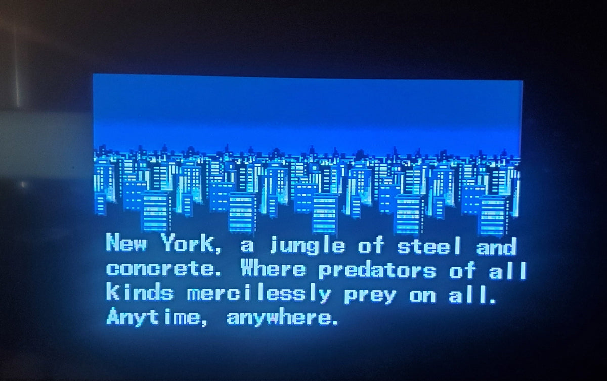 The Punisher — Sega Genesis (Reproduction)