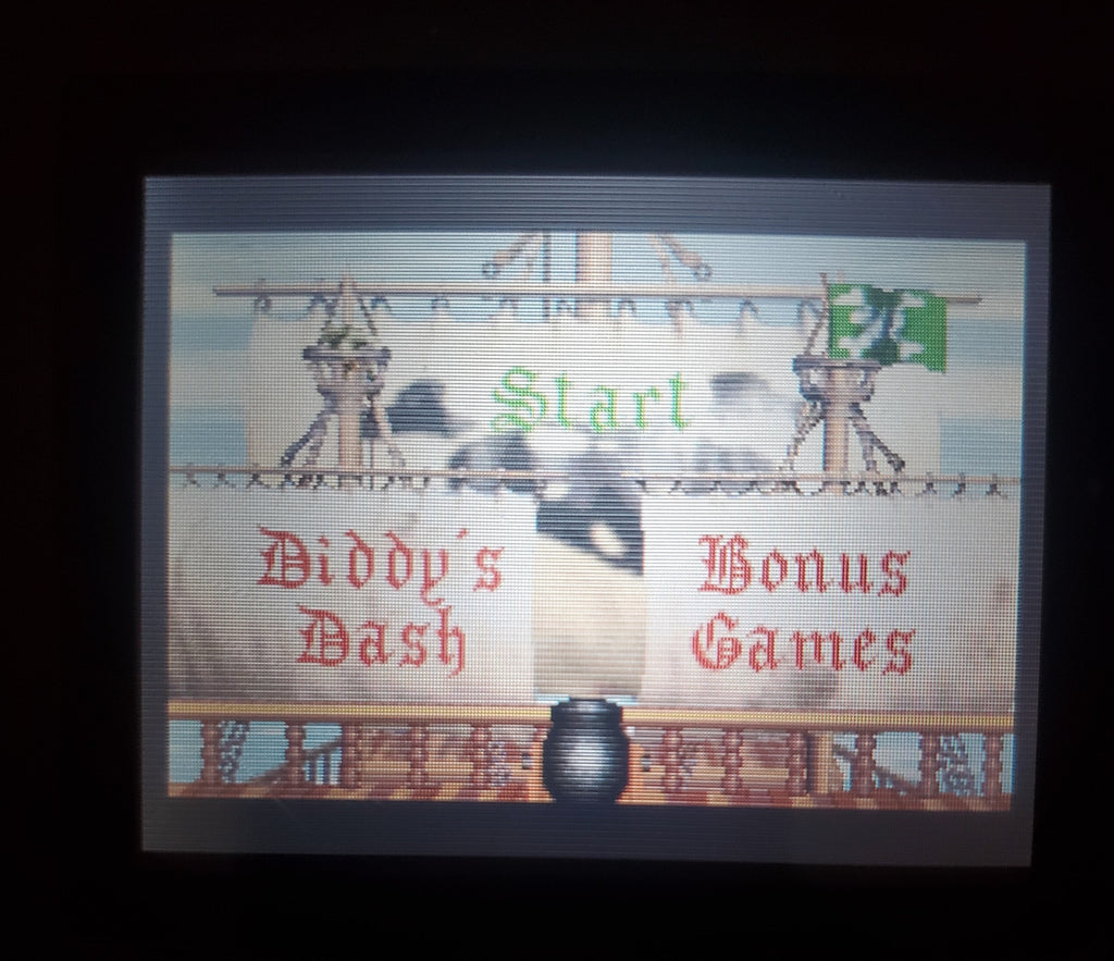 Donkey Kong Country 2 GBA Video Game Nintendo Game Boy Advance 2004