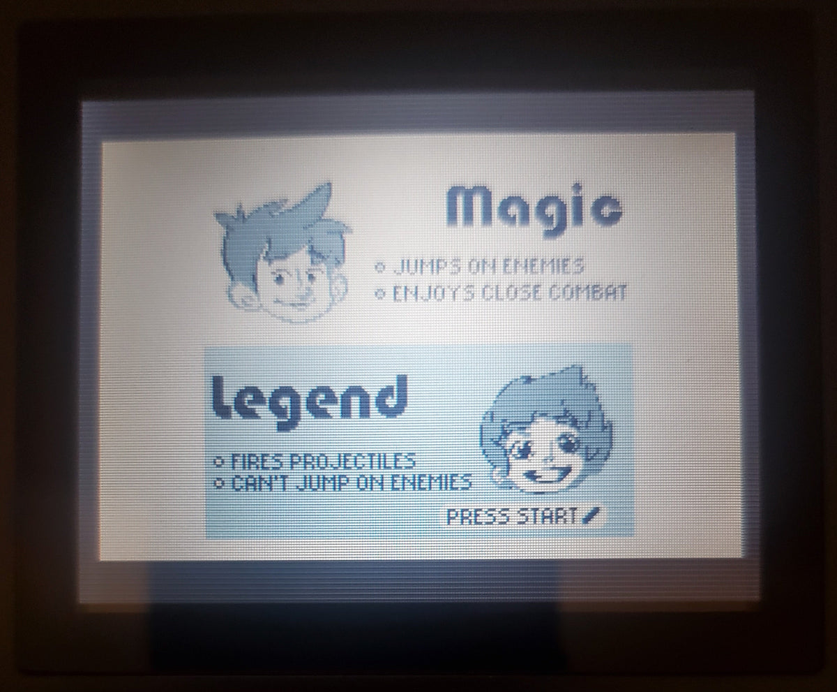 Magic and Legend GBA Video Game Boy Advance Nintendo