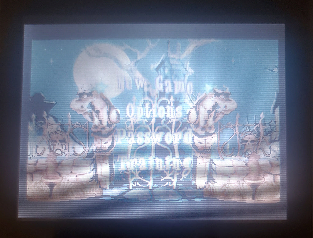 Spirits and Spells GBA Video Game Boy Advance Nintendo