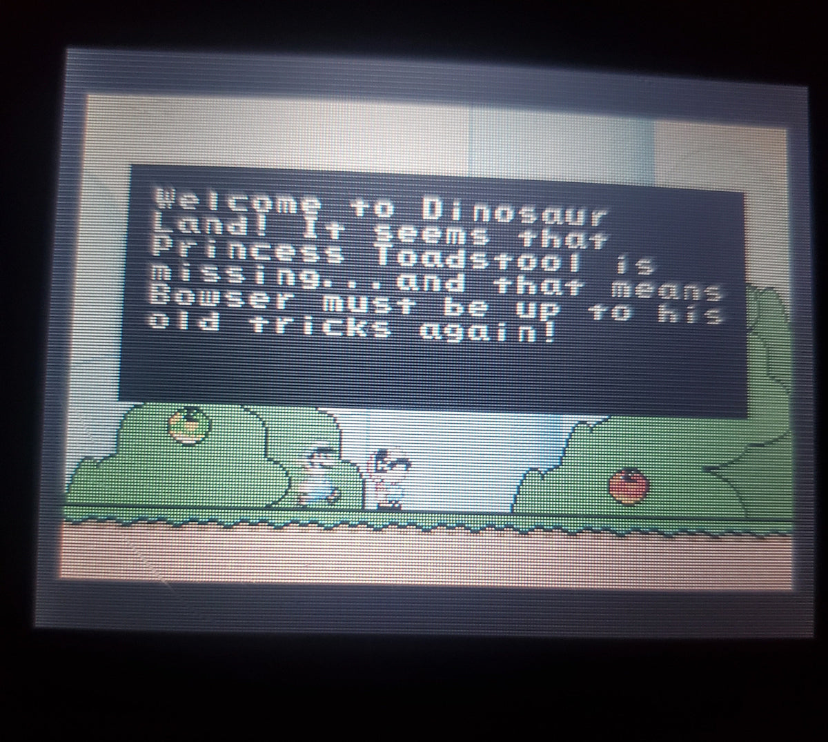 Super Mario Advance 2, Super Mario World GBA Video Game Boy Advance