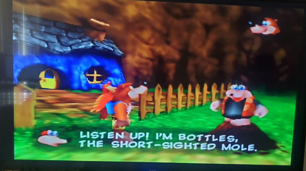 Banjo Kazooie N64 Nintendo 64 Video Game Cartridge 1998