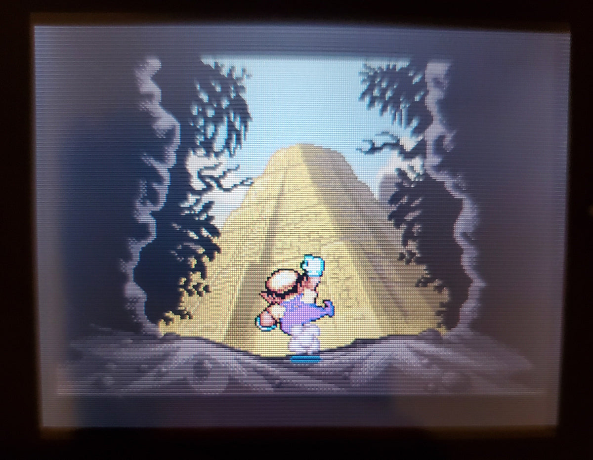WarioLand 4 GBA Video Game Boy Advance 2001