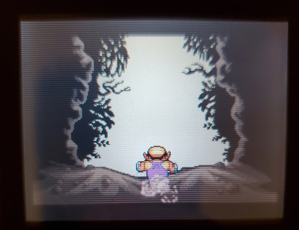 WarioLand 4 GBA Video Game Boy Advance 2001