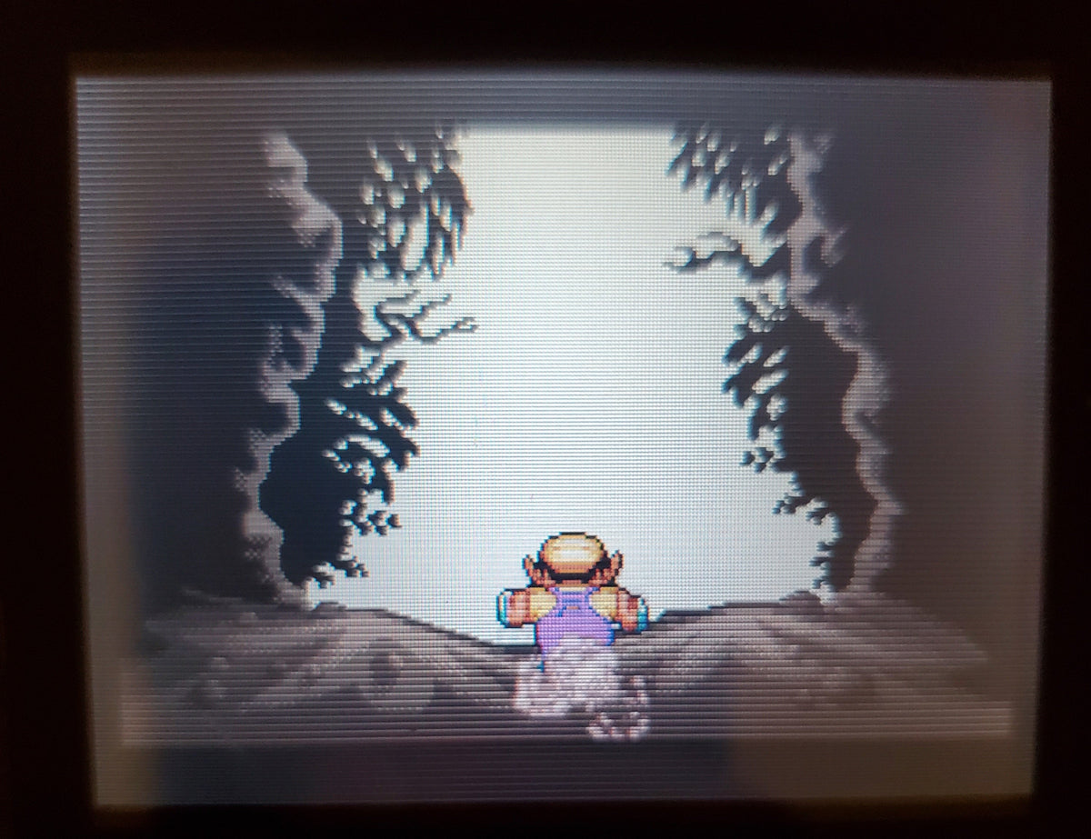 WarioLand 4 GBA Video Game Boy Advance 2001